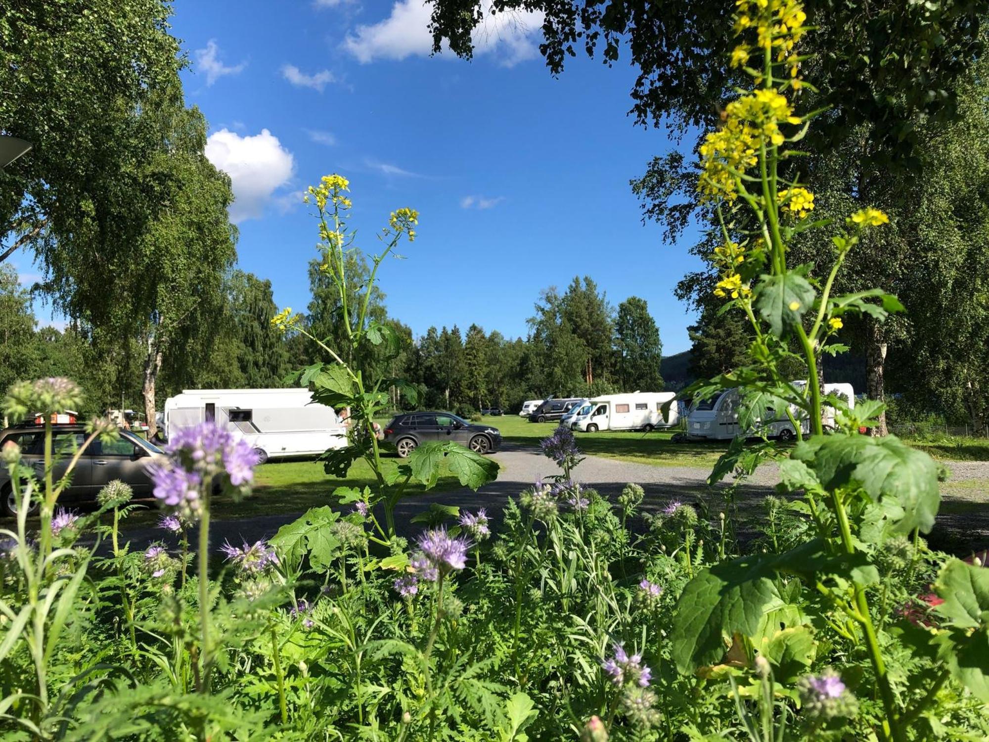 2 Persoons Stuga Hammarstrand Kültér fotó